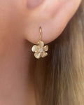 Crystal Drop Earrings