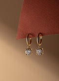 Crystal Drop Hoop Earrings